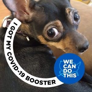 Meet your Posher, Penny